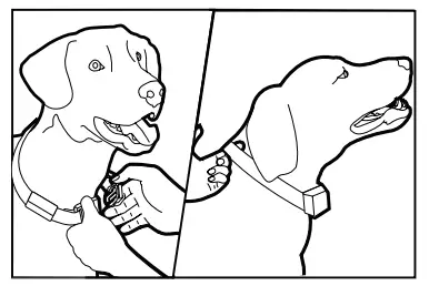 PetSafe 514406 Automatic Spray Bark Control Collar - fig 8