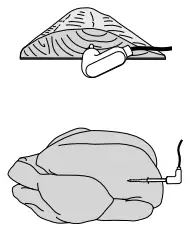 NINJA Foodi OL701 Smart XL Pressure Cooker Steam Fryer - thermometer horizontally