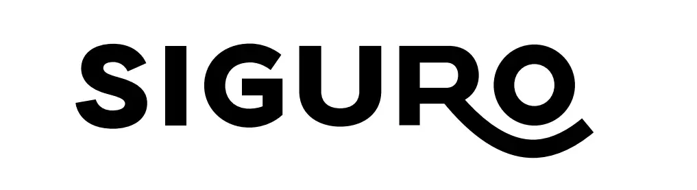 Siguro Sgr-eb-c150y Electric Blanket Instruction Manual