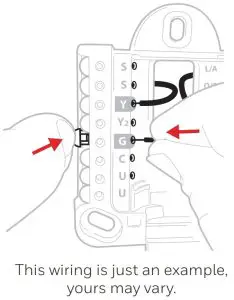 Connect remaining wires.