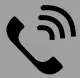 Phone icon