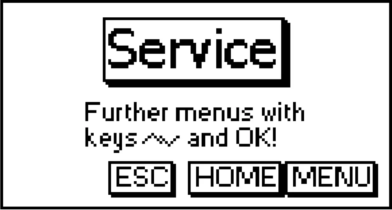 View service information 01
