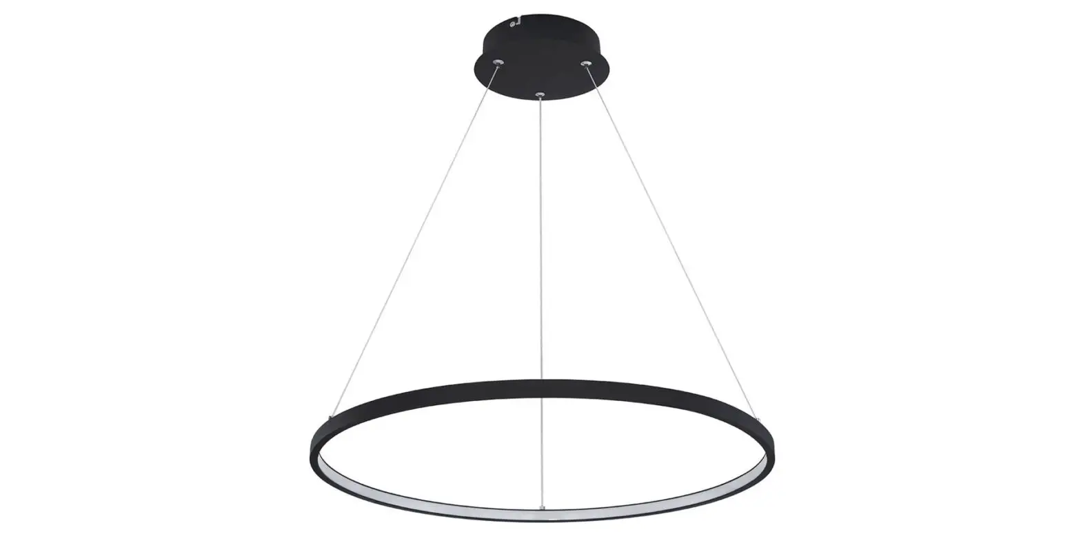 Paul Neuhaus 831994 Ceiling Light Instruction Manual