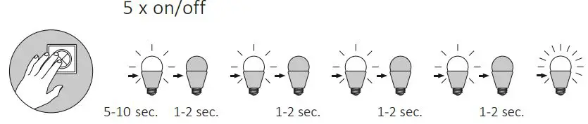 Paul-Neuhaus-8422-55-Q-VITO-Pendant-Lamp-FIG-6