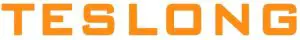 TESLONG Logo