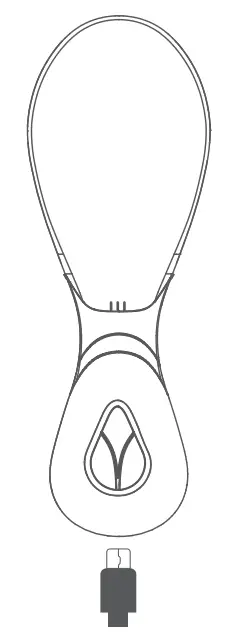 PE731 LumaGlow Red & Blue Light Therapy Use of the Device