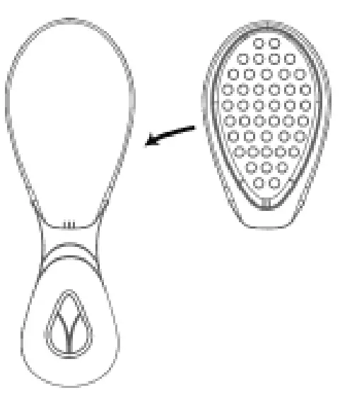 PE731 LumaGlow Red & Blue Light Therapy Use of the Device