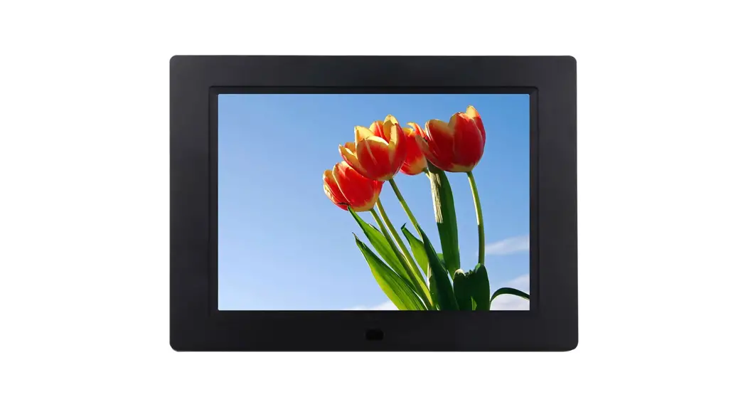 Braun Digiframe 1901 Digital Photo Album User Guide