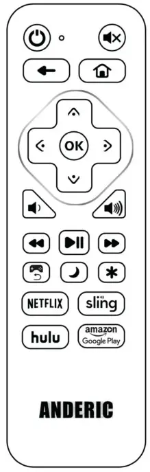 Anderic RRST01 Advance Universal Remote Control-