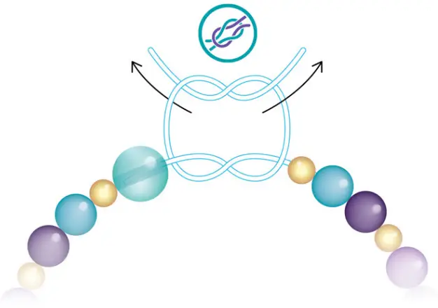 make It real 1204 Rainbow Dream Jewelry - Make a double knot