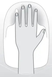 Designed for female  hand structure