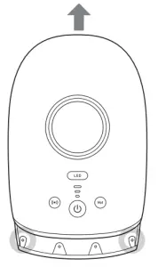 Remove the lithium-ion battery