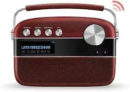 saregama SC01 Portable Digital Music Player image