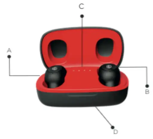 NU REPUBLIC Zedd True Wireless Understanding the Earphone 2
