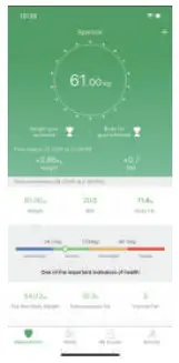 RENPHO Smart Body Composition Scale Remain standing