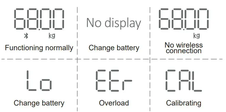 RENPHO Smart Body Composition Scale Trouble Shooting