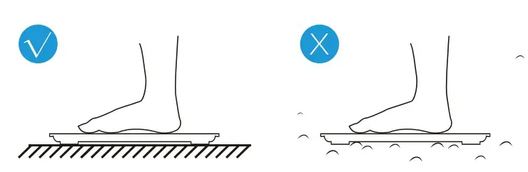 RENPHO Smart Body Composition Scale measurement