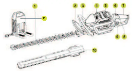 Masport 553160 60V Hedge Trimmer - Product Diagram