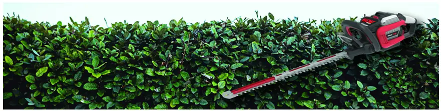 Masport 553160 60V Hedge Trimmer