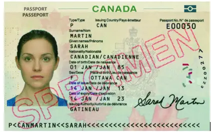 FLUO BASIC UV Ink Densitometer - fig2