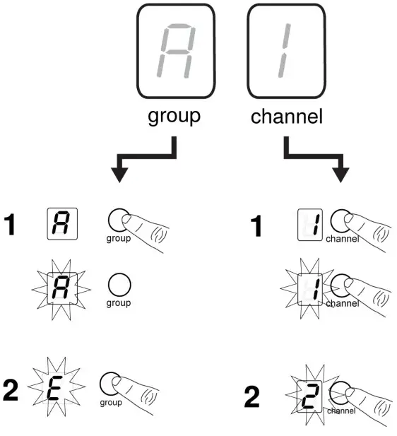 SHURE BLX Wireless System - Channel