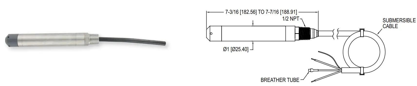 Mercoid Series SBLTX Submersible Level Transducer