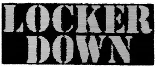 LOCKER-DOWN-LD2040EX-EXxtreme-Console-Safe-Instruction-Manual-logo