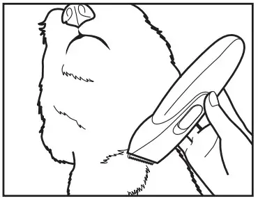 COLLAR STATIC STIMULATION