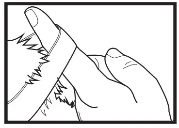 Wearing the Receiver Collar