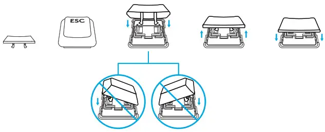 logitech G915 TKL LIGHTSPEED Wireless RGB Mechanical Gaming Keyboard -- KEY CAP REMOVALREPLACEMENT