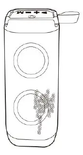 Shenzhen Qualitronic Technology QT-916BT Bluetooth Speaker product