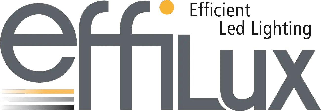 effilux Logo