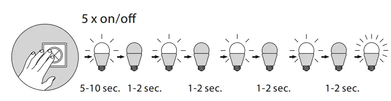 Paul Neuhaus 6339-55 Ceiling Light Instruction Manual - Reset
