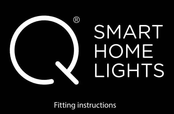 Paul Neuhaus 6339-55 Ceiling Light Instruction Manual