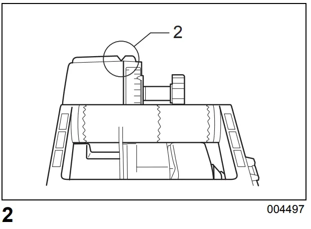 Sighting Description