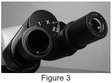 VEE GEE 1420BR Van Guard 1400 Series Professional Compound Microscope - Figure 3