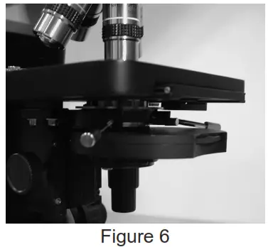 VEE GEE 1420BR Van Guard 1400 Series Professional Compound Microscope - Figure 6