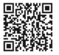 Paul Neuhaus 2075-55 Q ETIENNE LED Pendant Light - QR1