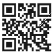 Paul Neuhaus 2075-55 Q ETIENNE LED Pendant Light - QR2