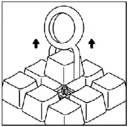 FANTECH MAXFIT61 Modular Mechanical Keyboard - fig 2