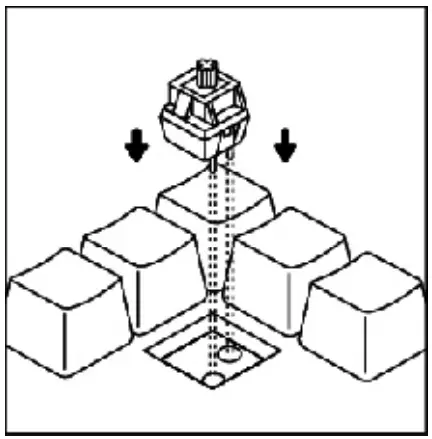 FANTECH MAXFIT61 Modular Mechanical Keyboard - fig 4