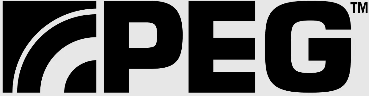 Peg-Perego-Primo-Viaggio-SLK-Sand-Car-Seat-LOGO