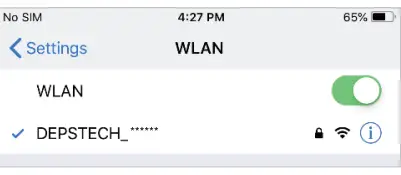 DEPSTECH-WF070-Dual-Lens-1080p-Wireless-Endoscope-User-Manual-14