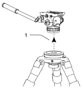 a drawing of a person