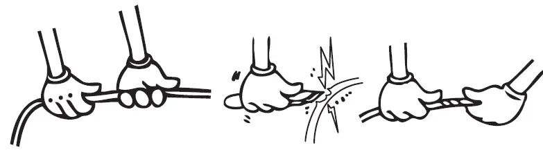 lord R7-Fridge-FIG-2