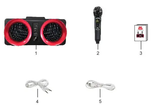 SDRD SD-307 Karaoke Speaker 1