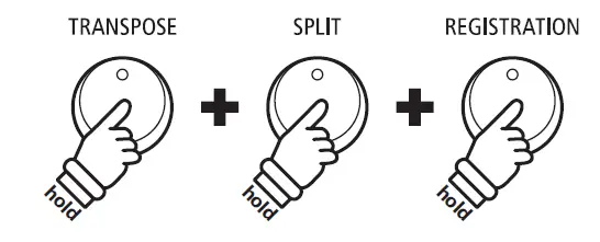 KAWAI ES520 Portable Digital Piano fig 5