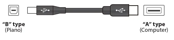 KAWAI ES520 Portable Digital Piano fig 6