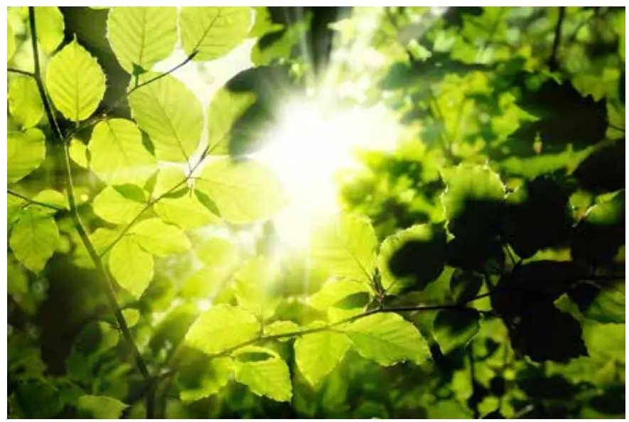 GROWER S CHOICE TSL-800 LED Grow Light User Manual - Controllability