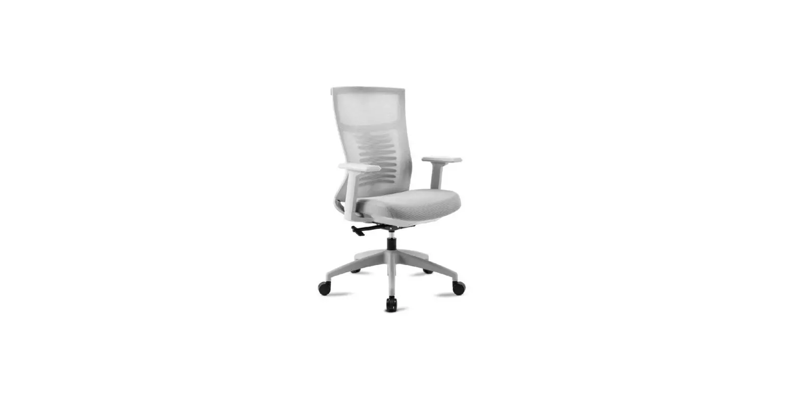 Mc Haus Vulcano Pro Ergonomic Desk Chair Instruction Manual